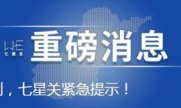七星爆料信息最新,揭秘娱乐圈最新热点事件