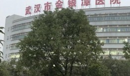 金银潭医院爆料案件最新,揭开医疗系统腐败黑幕