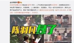 周一爆料预告最新视频,最新视频揭秘神秘事件，悬念重重引关注